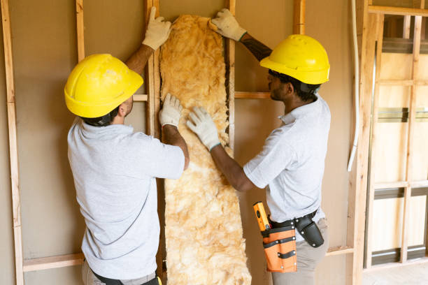 Best Basement Insulation  in Weston, OH