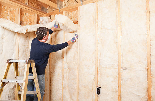 Best Radiant Barrier Insulation  in Weston, OH